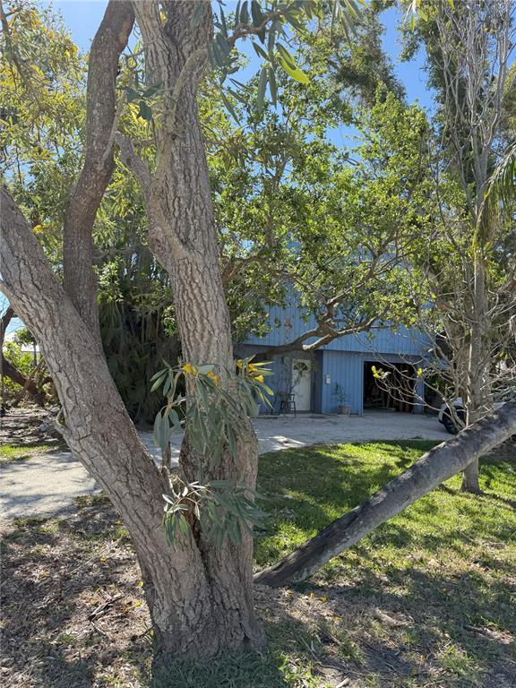 Picture of 1612 Pocatello Street, Sarasota FL 34231