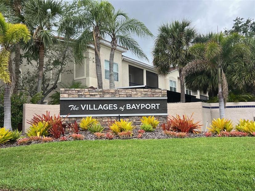Picture of 6344 Bayside Key Drive, Tampa FL 33615
