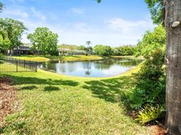 Picture of 2221 Climbing Ivy Drive, Tampa, FL 33618