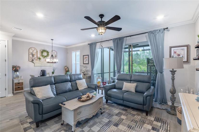 Picture of 17212 Balance Cove, Land O Lakes FL 34638