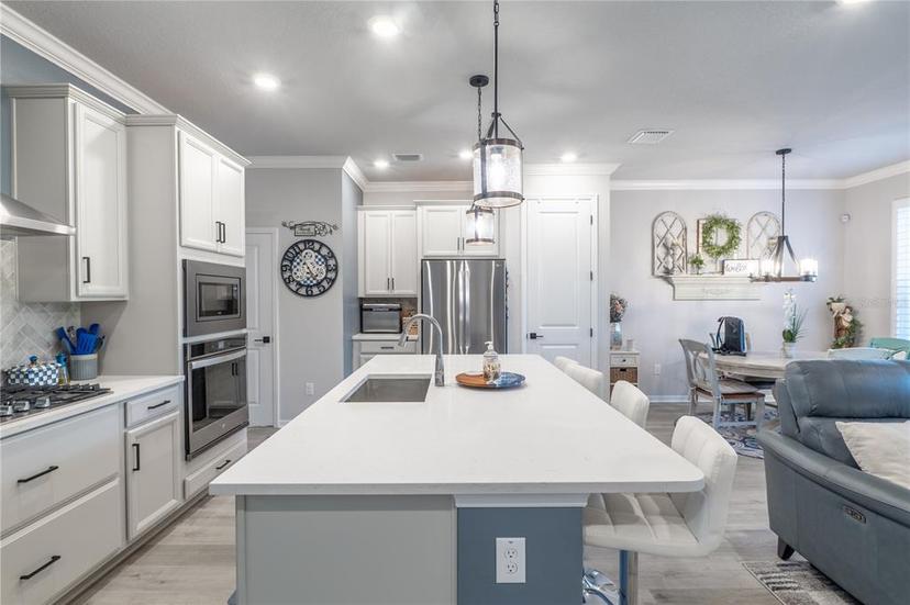 Picture of 17212 Balance Cove, Land O Lakes FL 34638