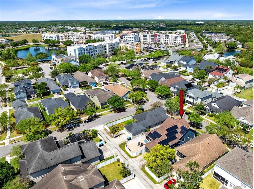 Picture of 13034 Royal Fern Drive, Orlando FL 32828