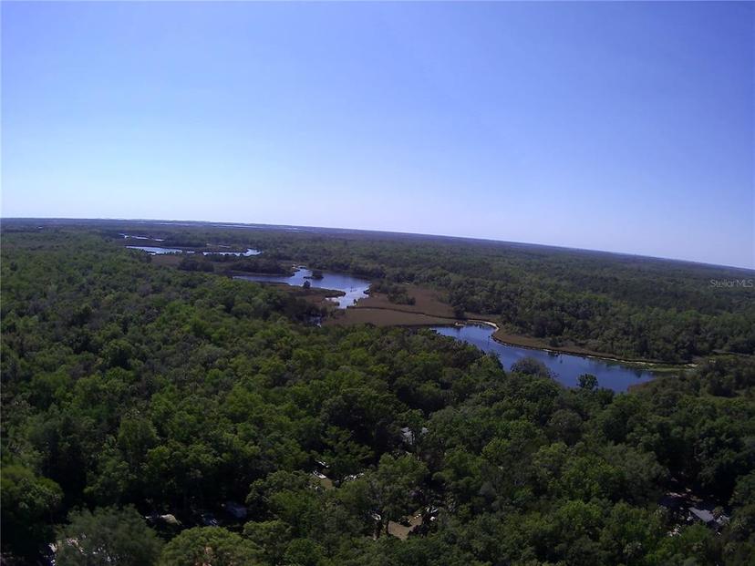 Picture of 8896 W White Dogwood Drive, Homosassa FL 34448
