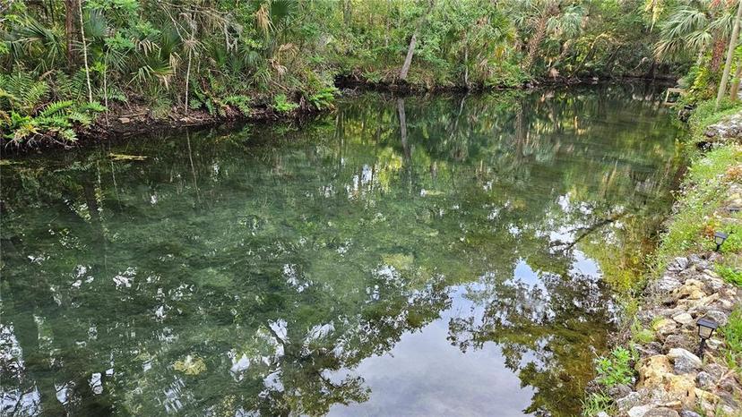 Picture of 8896 W White Dogwood Drive, Homosassa FL 34448