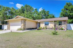 Picture of 910 Black Knight Drive, Valrico, FL 33594
