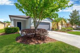 Picture of 6116 Magnolia Park Boulevard, Riverview, FL 33578
