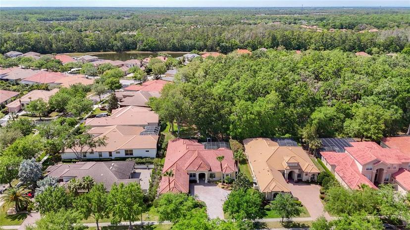 Picture of 20104 Oak Alley Drive, Tampa FL 33647