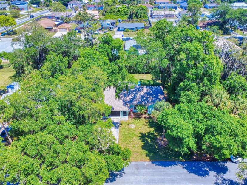 Picture of 3013 Lime Tree Drive, Edgewater FL 32141