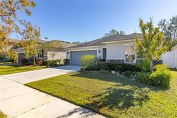Picture of 9231 Freedom Hill Drive, Seffner, FL 33584