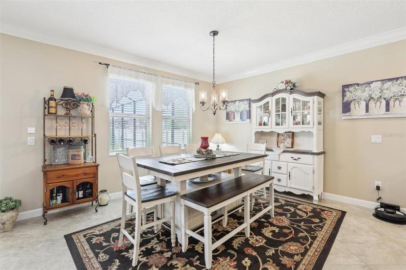 Picture of 12003 Cinnamon Fern Drive, Riverview FL 33579
