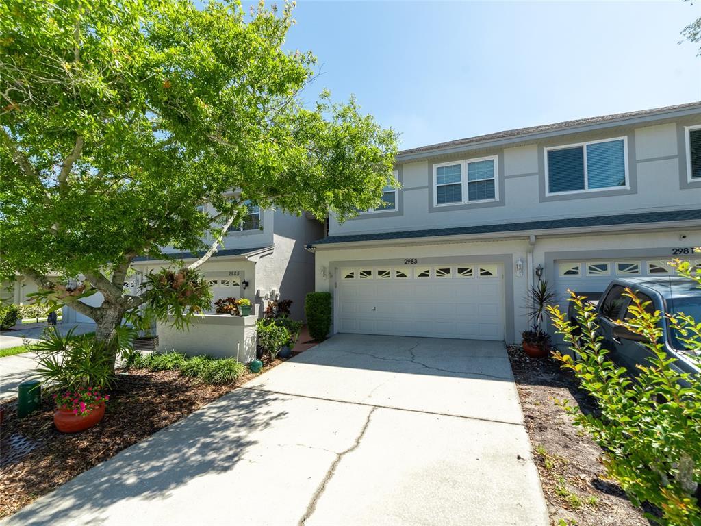 Picture of 2983 Covewood Place, Clearwater, FL 33761