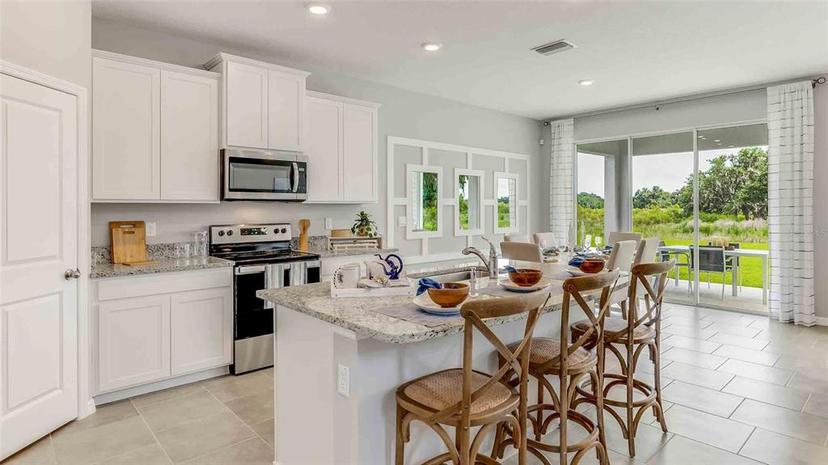 Picture of 10597 Farm Hill Avenue, Land O Lakes FL 34638