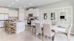 Picture of 10597 Farm Hill Avenue, Land O Lakes, FL 34638