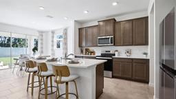 Picture of 10589 Farm Hill Avenue, Land O Lakes, FL 34638