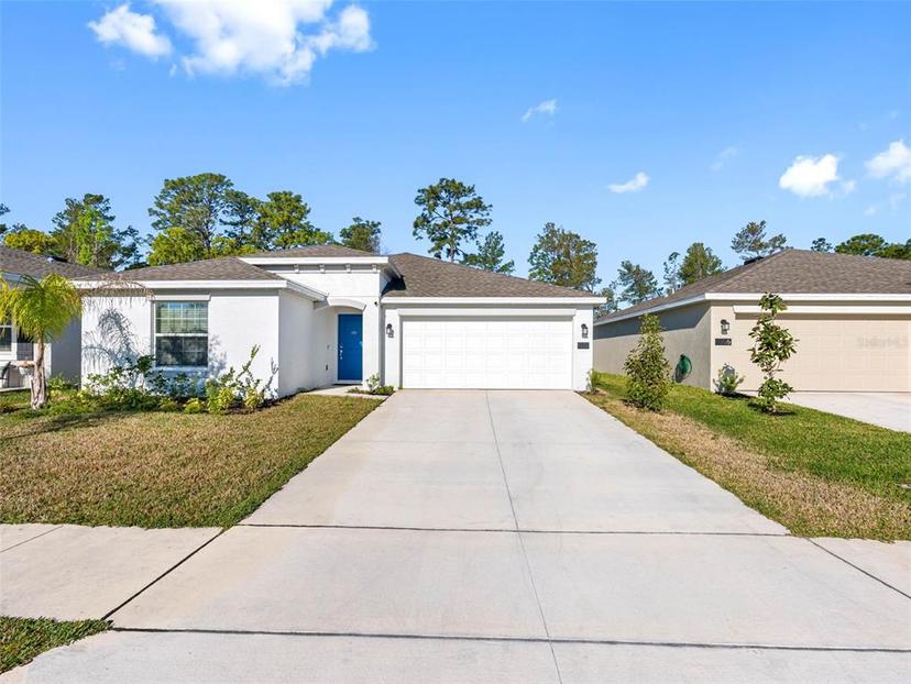 Picture of 1312 Peach Creek Drive, Osteen FL 32764