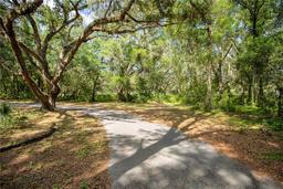Picture of 11795 SW Highway 484, Dunnellon, FL 34432