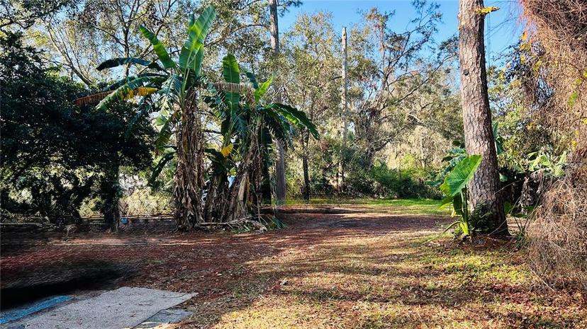 Picture of 18186 Ferry Avenue, Brooksville FL 34604