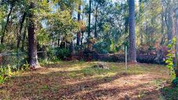 Picture of 18186 Ferry Avenue, Brooksville, FL 34604