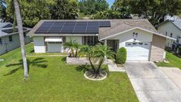 Picture of 2955 Briar Cliff Drive, Palm Harbor, FL 34684