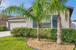 Picture of 4201 Globe Thistle Drive, Tampa, FL 33619
