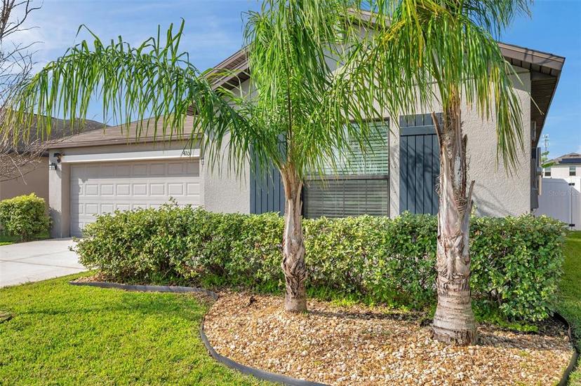 Picture of 4201 Globe Thistle Drive, Tampa FL 33619