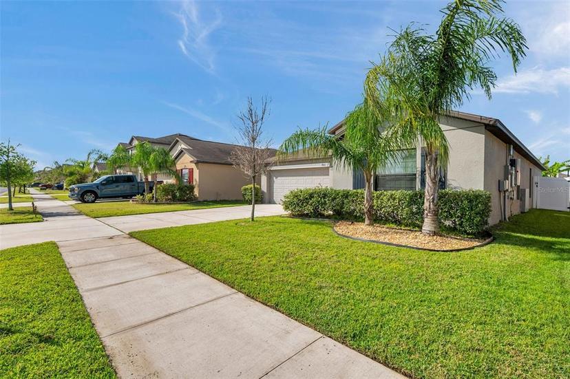 Picture of 4201 Globe Thistle Drive, Tampa FL 33619