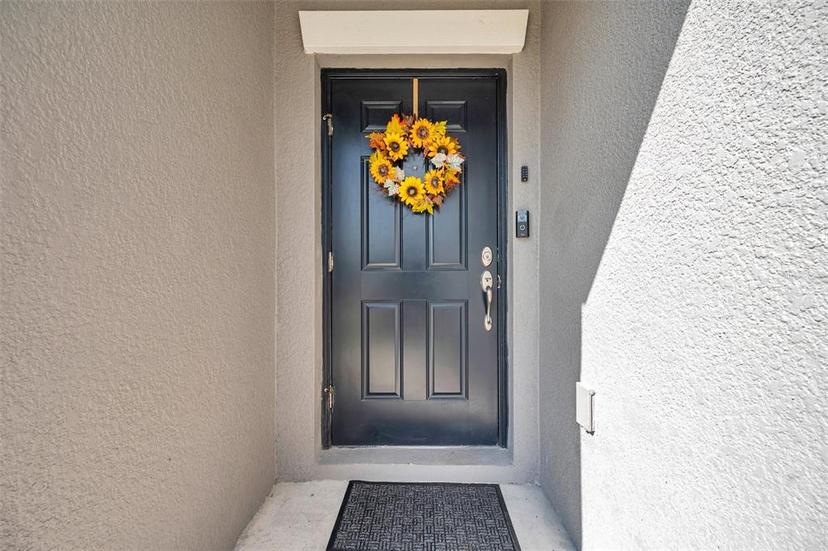 Picture of 4201 Globe Thistle Drive, Tampa FL 33619