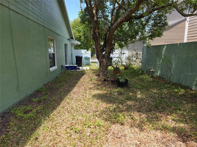 Picture of 209 Silas Phelps Court W, Orlando FL 32828