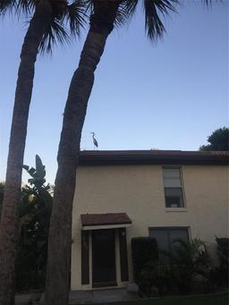 Picture of 501 EAST Bay Dr. Unit 2003, Largo, FL 33770