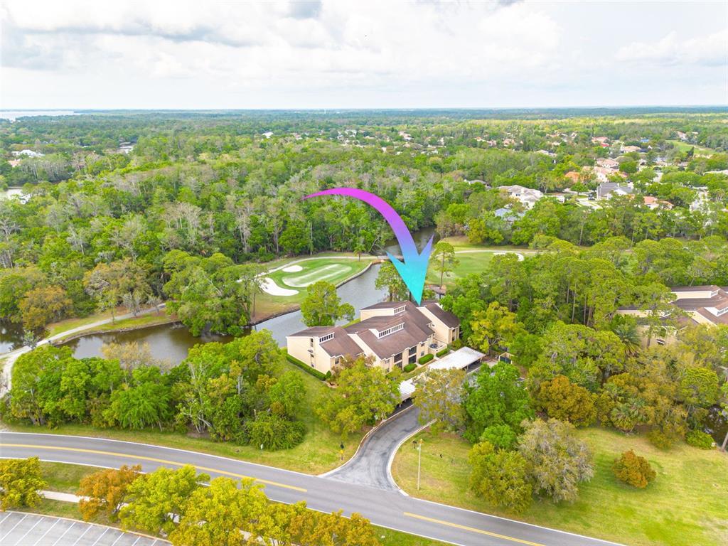 Picture of 50 St Andrews Place Unit 50, Oldsmar, FL 34677