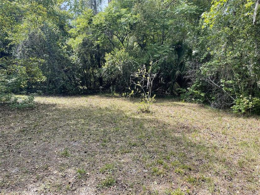 Picture of 220 NW 33Rd Avenue, Gainesville FL 32609