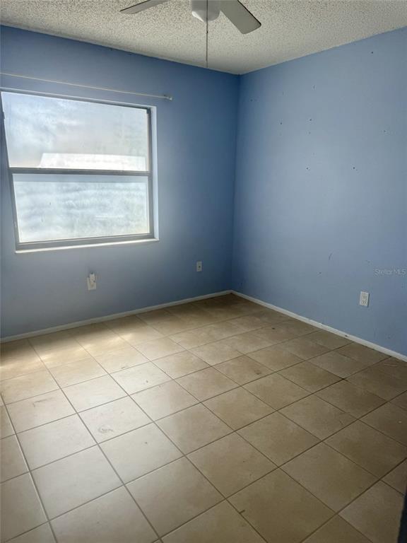 Picture of 11318 Blackbark Drive, Riverview FL 33579