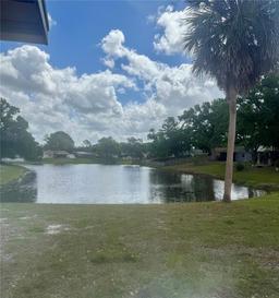 Picture of 11318 Blackbark Drive, Riverview, FL 33579