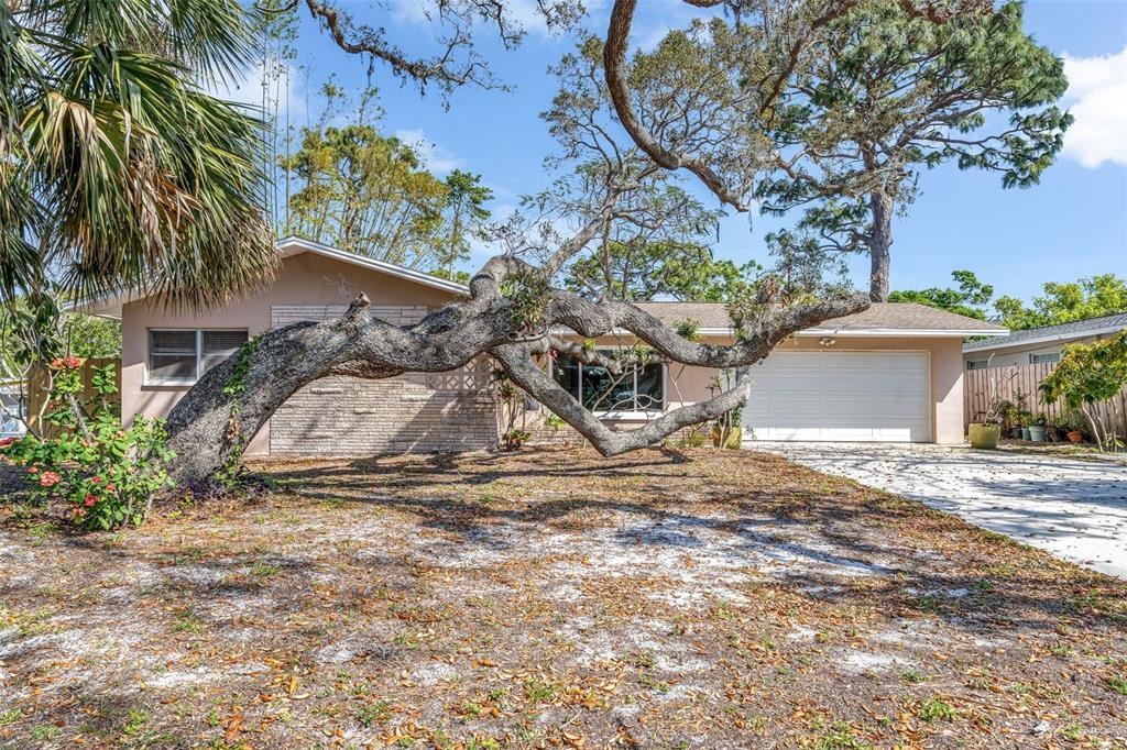 Picture of 1250 12Th Court Sw, Largo, FL 33770