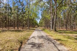 Picture of 6482 SW 80Th Avenue, Trenton, FL 32693