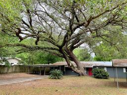 Picture of 1910 SW 44Th Avenue, Gainesville, FL 32608