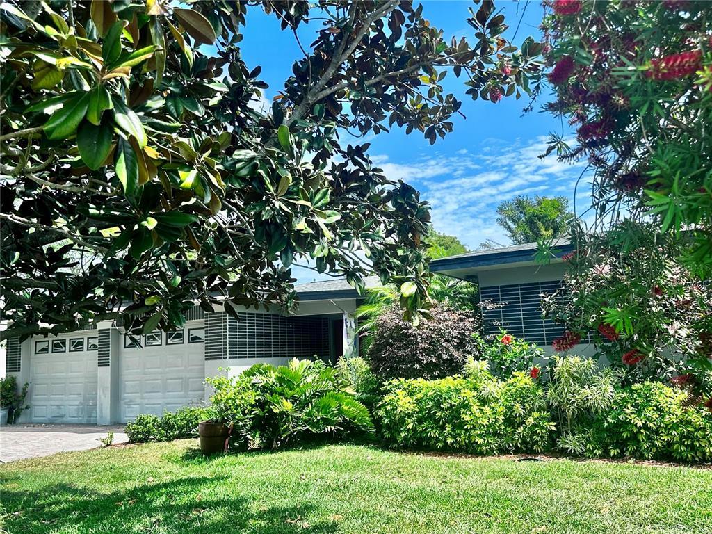 Picture of 1345 S Evergreen Avenue, Clearwater, FL 33756
