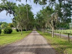 Picture of 5637 NW 165Th Street, Reddick, FL 32686