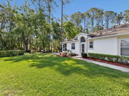 Picture of 11524 Holly Ann Drive, New Port Richey, FL 34654