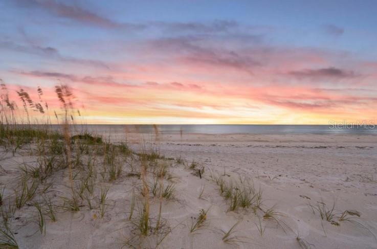 Picture of 840 Mandalay Avenue, Clearwater Beach FL 33767