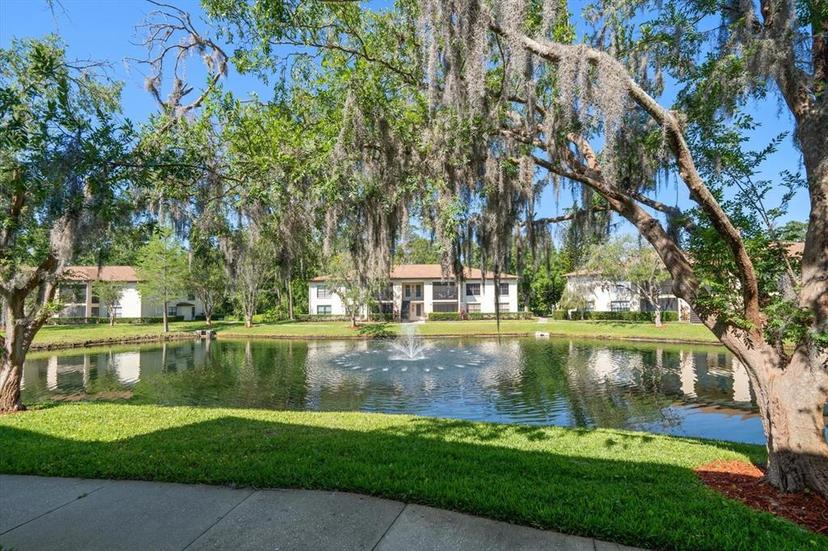 Picture of 3380 Crystal Court E Unit G, Palm Harbor FL 34685