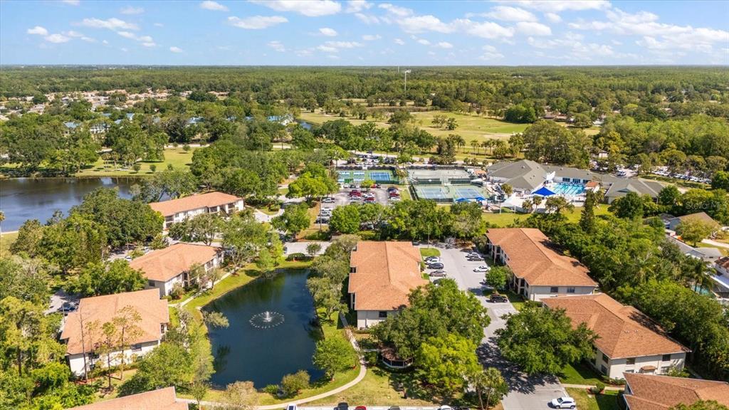 Picture of 3380 Crystal Court E Unit G, Palm Harbor, FL 34685