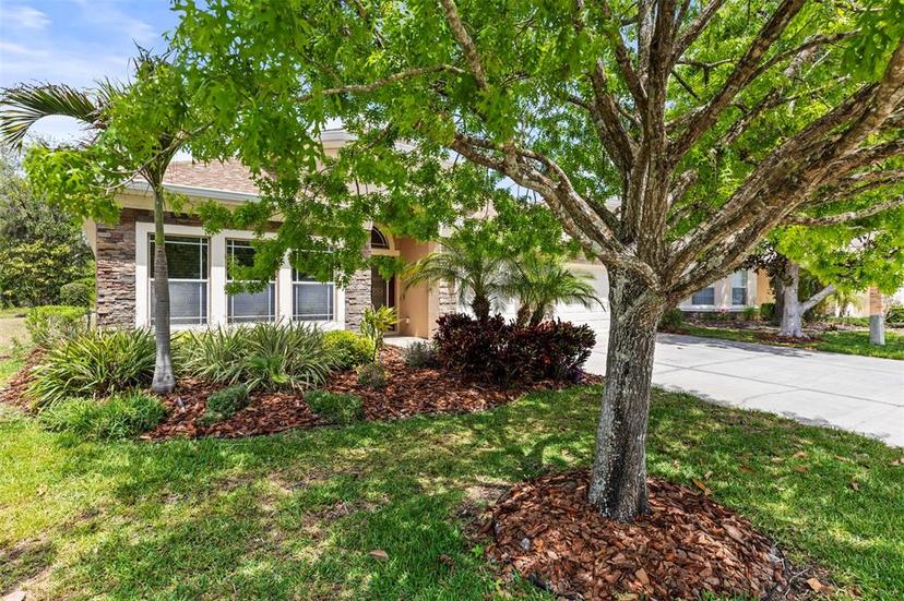 Picture of 11534 Biddeford Place, New Port Richey FL 34654