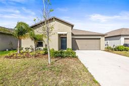 Picture of 16633 Sunburst Lake Street S, Wimauma, FL 33598