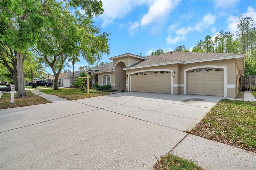 Picture of 19728 Morden Blush Drive, Lutz FL 33558