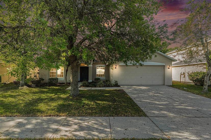 Picture of 19033 Tilobe Loop, Land O Lakes FL 34638