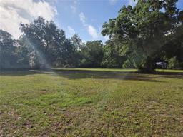 Picture of 350 Cassady Street, Umatilla, FL 32784