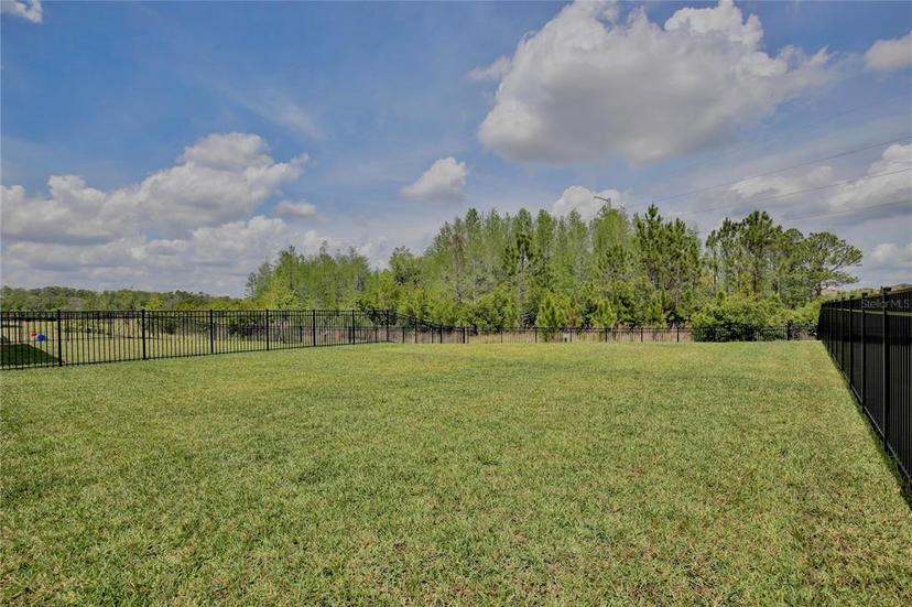 Picture of 11725 Language Way, Orlando FL 32832