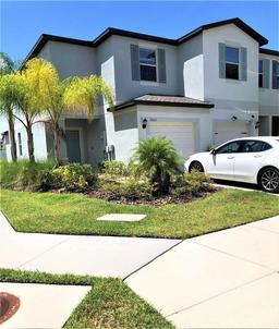 Picture of 7631 French Marigold Avenue, Tampa, FL 33619