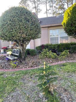 Picture of 18607 Bent Pine Drive, Hudson, FL 34667